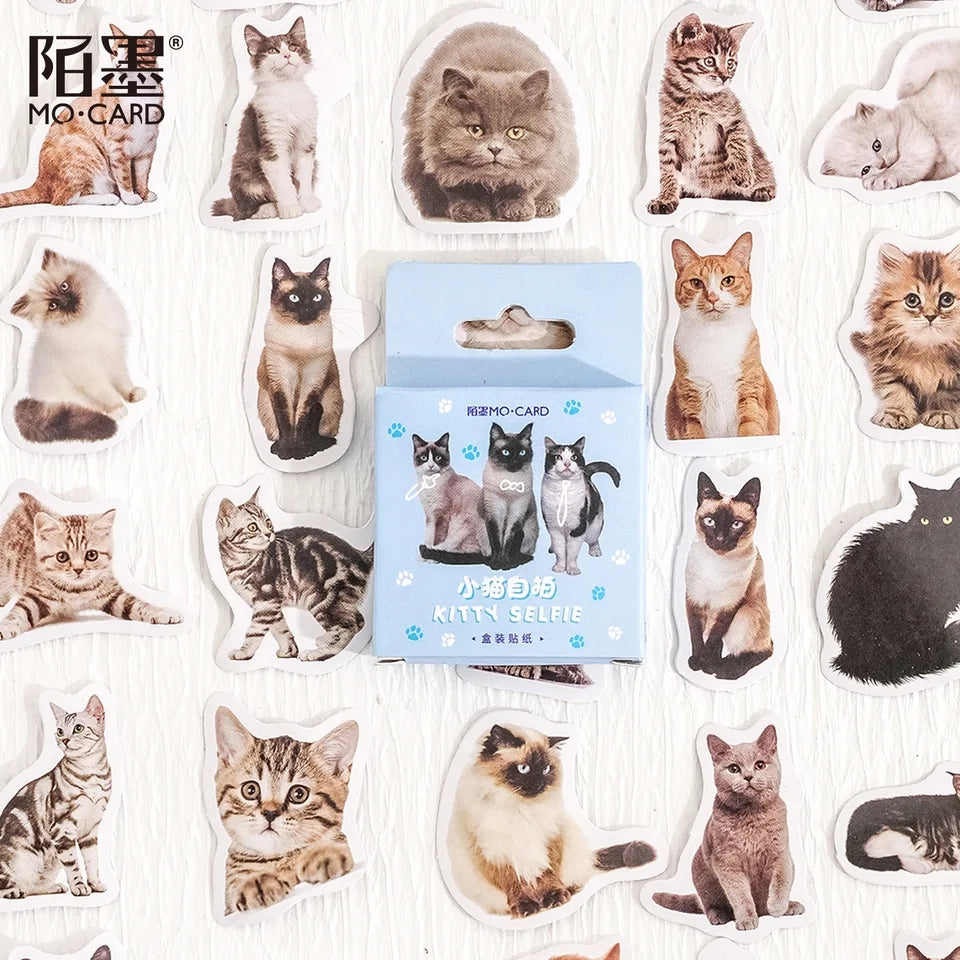 Sticker Box - Kitty Selfie