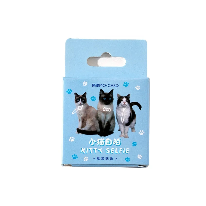 Sticker Box - Kitty Selfie