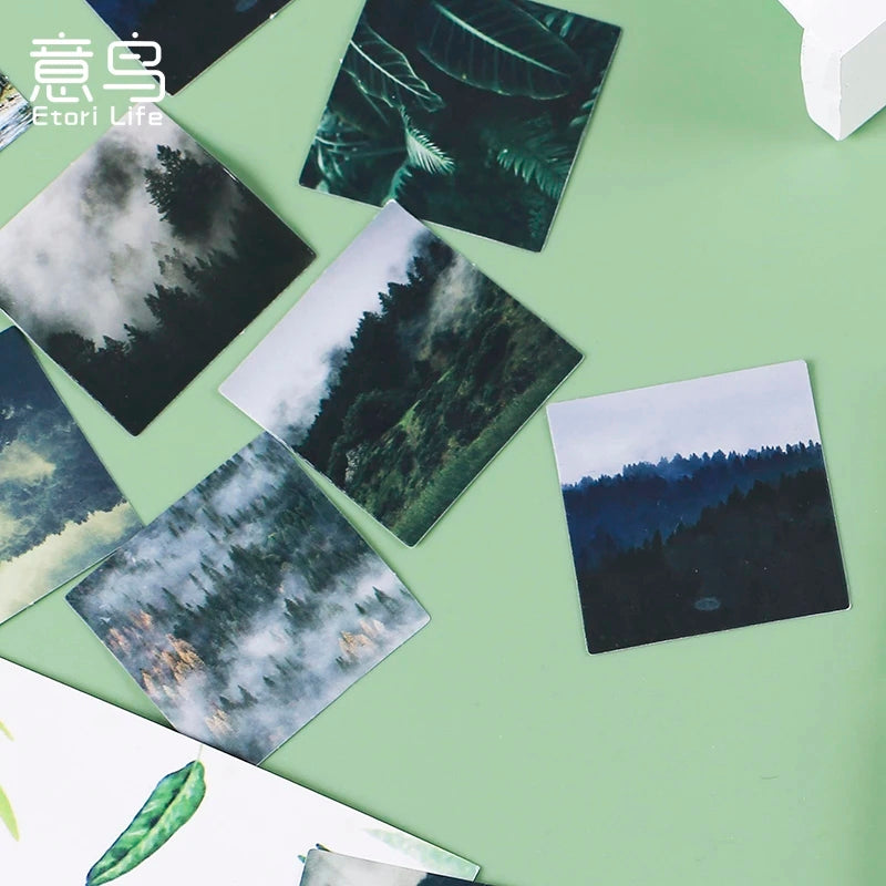 (NEW ARRIVAL) Sticker Box Series - Green Fields