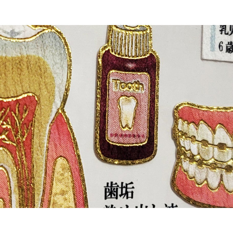(COMING SOON) Kamio Japan - Otona Sticker Sheet - Dental Care