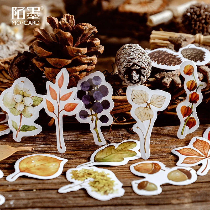 Feuilles mortes d'automne (boîte de 46 autocollants) - MO•CARD