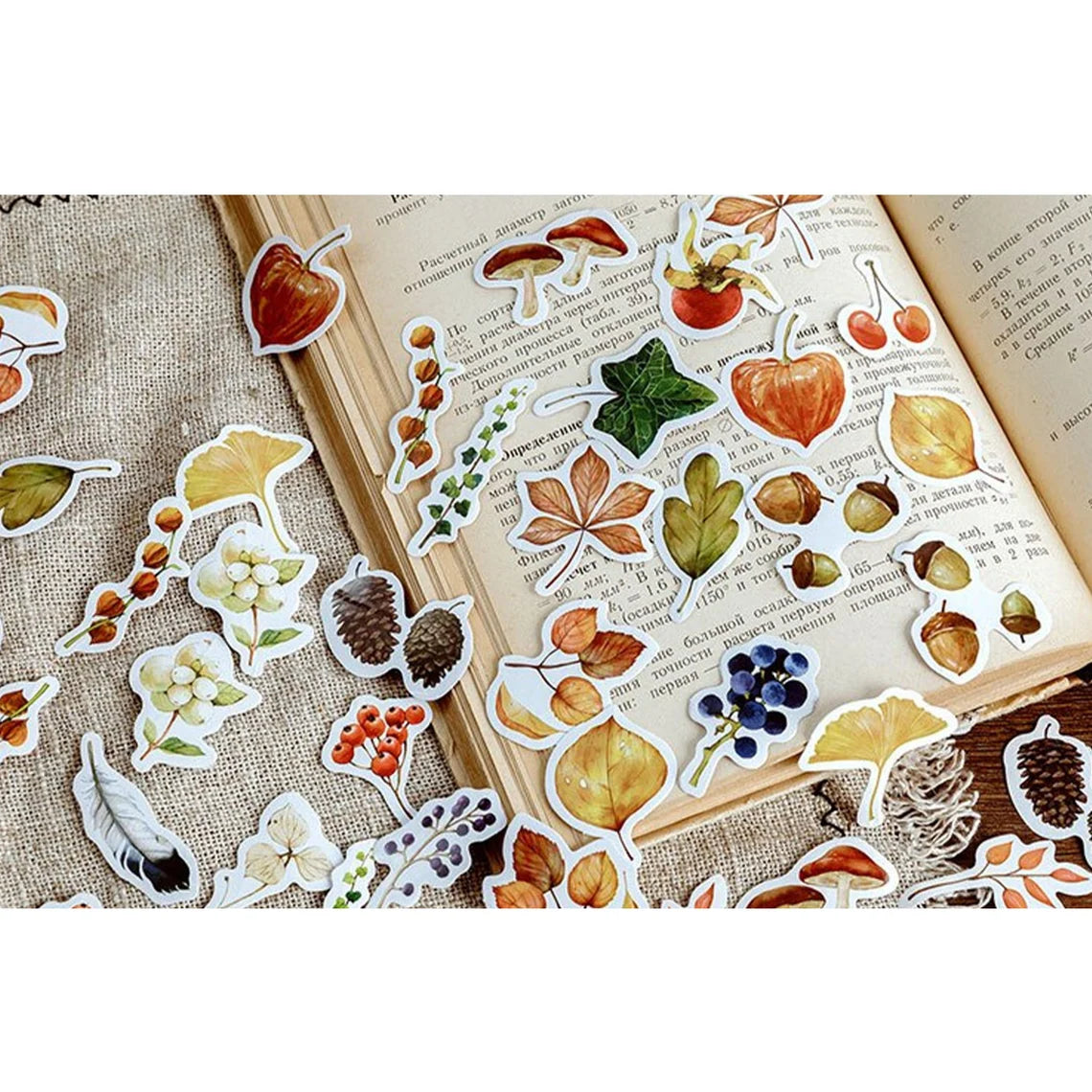 Feuilles mortes d'automne (boîte de 46 autocollants) - MO•CARD