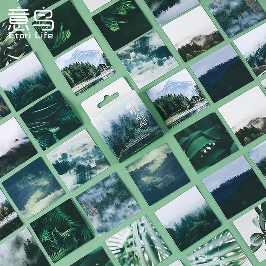 Sticker Box Series - Green Fields