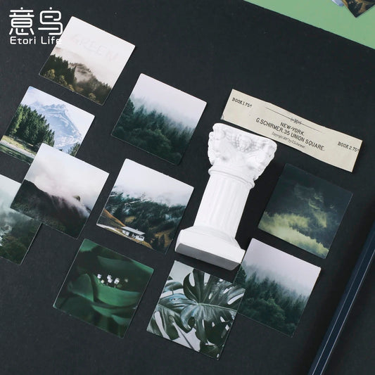 NEW! Sticker Box - Green Fields - 45 Sticker