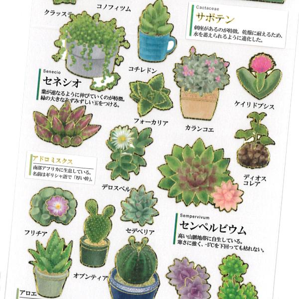 Otonano-zukan Sticker Sheet – Succulent Plant Edition 🌵✨