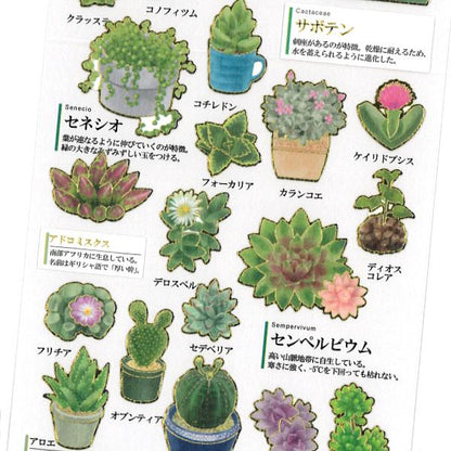 Kamio Japan - Otona Sticker Sheet - Succulent Plant
