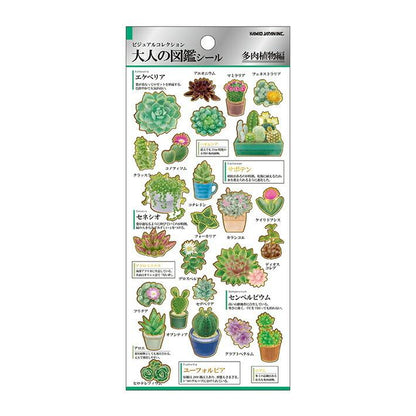 Kamio Japan - Otona Sticker Sheet - Succulent Plant