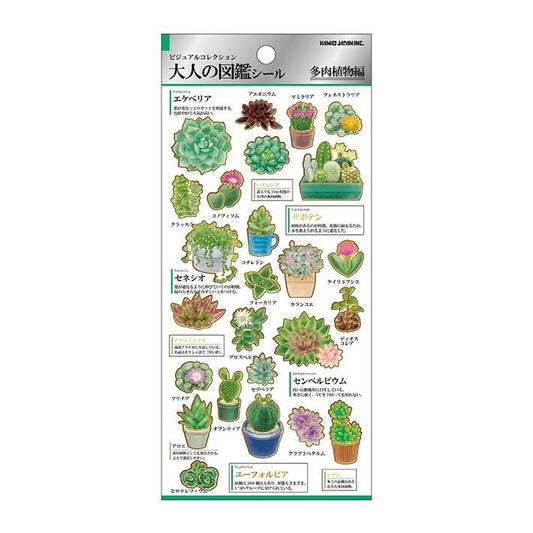 Otonano-zukan Sticker Sheet – Succulent Plant Edition 🌵✨