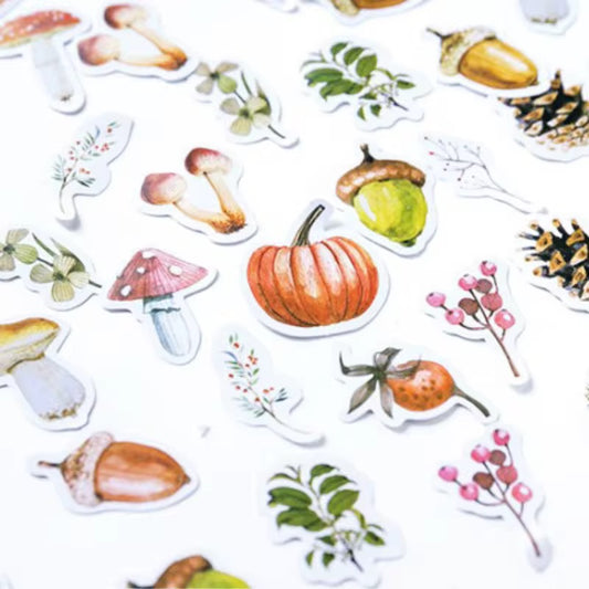 NEW! Sticker Box - Forest Story Botanical - 45 Stickers