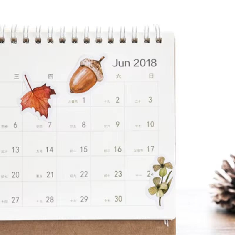 NEW! Sticker Box - Forest Story Botanical - 45 Stickers