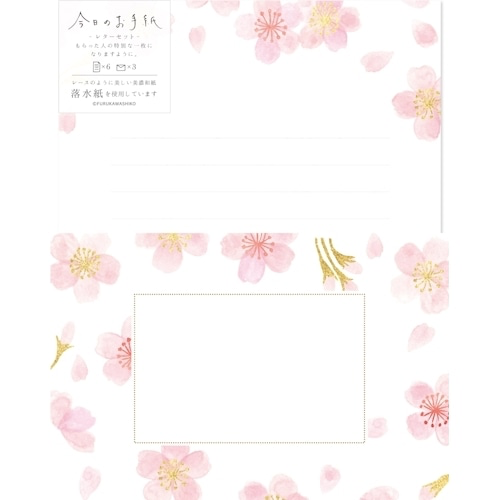 Furukawa Shiko “Kirakira Sakura” Letter Writing Set