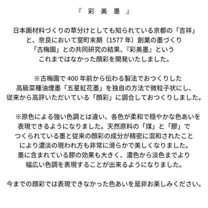 Saibiboku - Traditional Sumi Watercolors 20 Colour Set