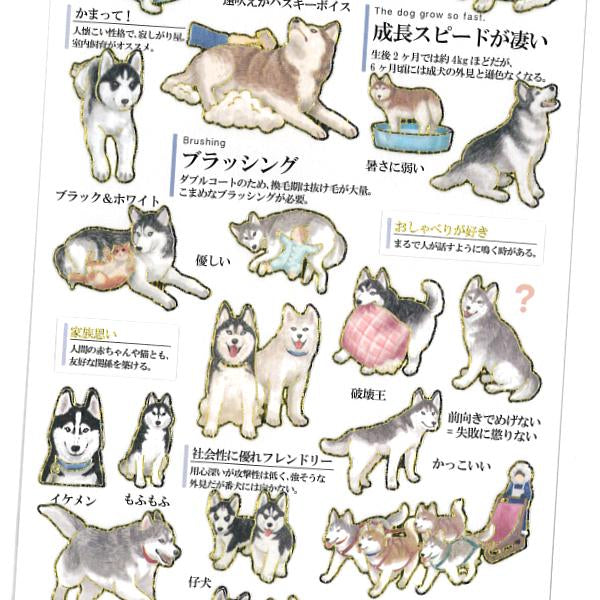 Otonano-zukan Sticker Sheet – Siberian Husky Edition 🐾❄️