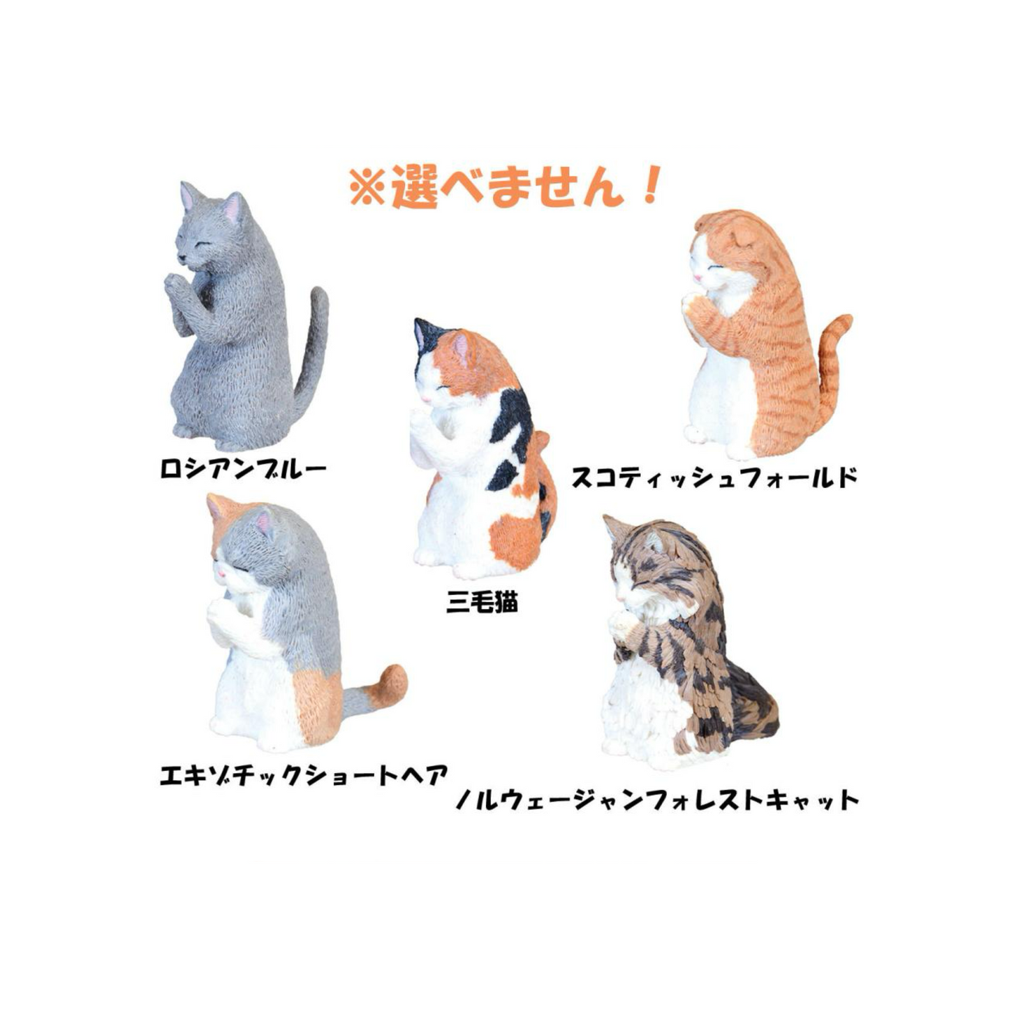 PRE-ORDER! YELL Blind Box Toy Figure - Cat Worship - Gassho Takumi
