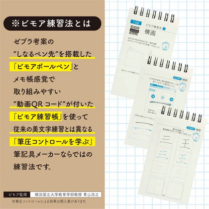 Zebra Bimore Handwriting Practice Set – 0.5mm – Pink