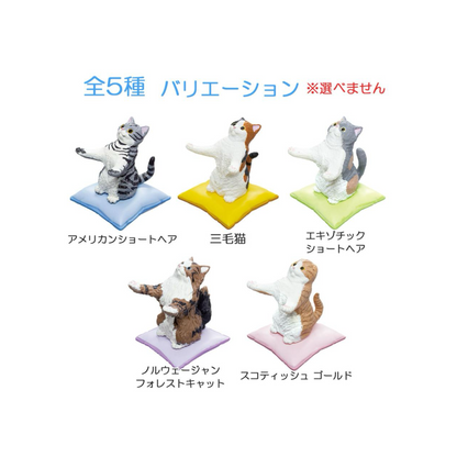 PRE-ORDER! YELL Blind Box Toy Figure - Cats Hold Pen for You