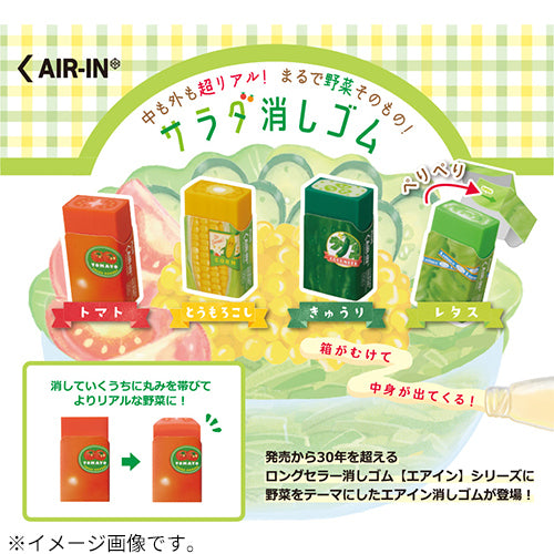 PRE-ORDER! PLUS Air-In Eraser - Vegetable Salad Edition