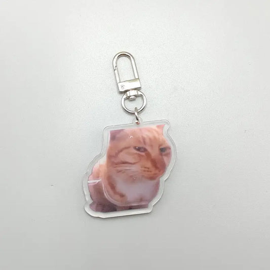 Keychain Disappointed Orange Cat