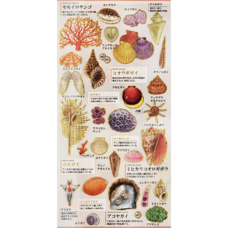 (COMING SOON) Kamio Japan - Otona Sticker Sheet - Shells & Corals