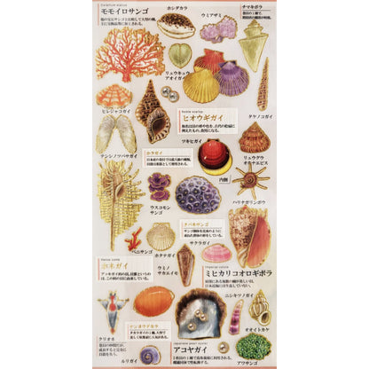 Kamio Japan - Otona Sticker Sheet - Shells & Corals