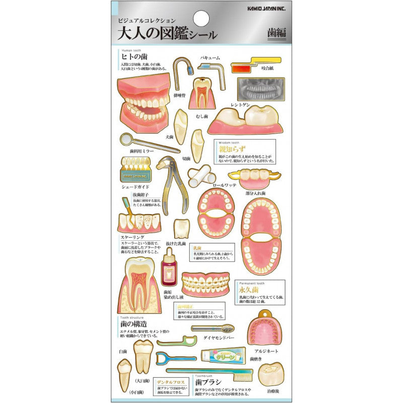 (COMING SOON) Kamio Japan - Otona Sticker Sheet - Dental Care