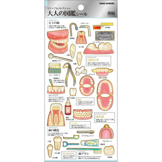 (COMING SOON) Kamio Japan - Otona Sticker Sheet - Dental Care